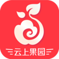 云上果园安卓版app