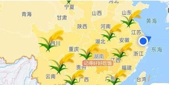 高德地图水稻在哪里看_高德地图怎么才能看到水稻