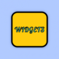 color widgets安卓中文版