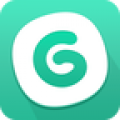 GG大玩家手机
